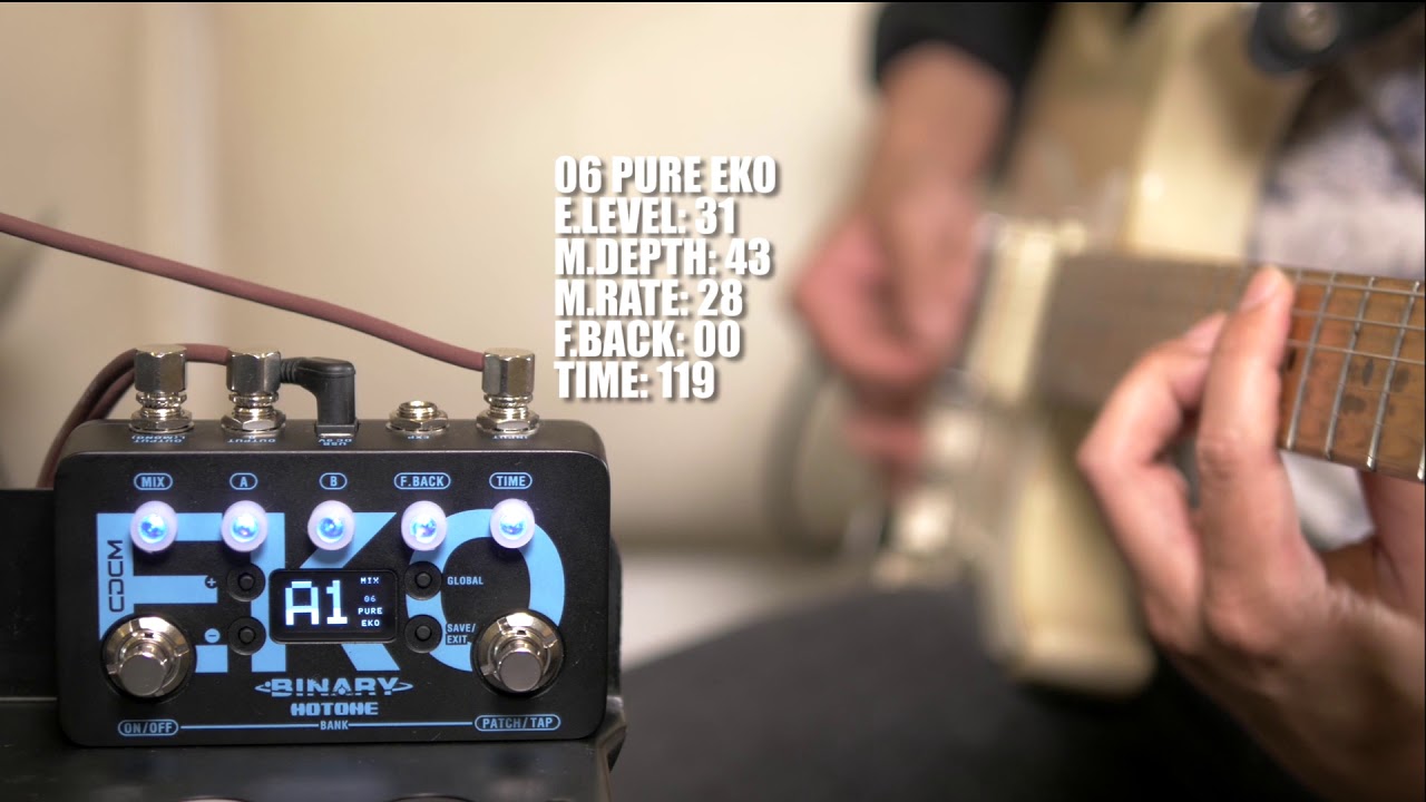 HOTONE BINARY EKO - デュアルDSP、17種類のデジタル・ディレイを搭載