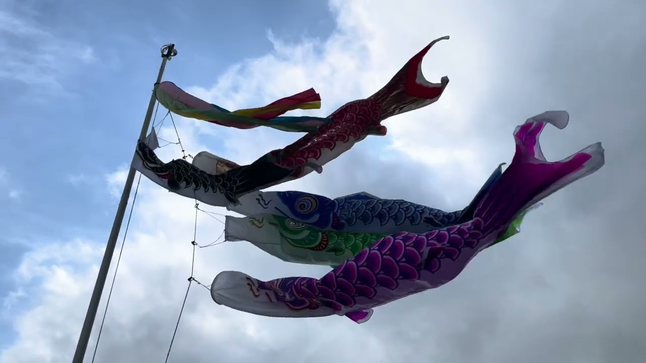 maxresdefault.jpg?sqp=-