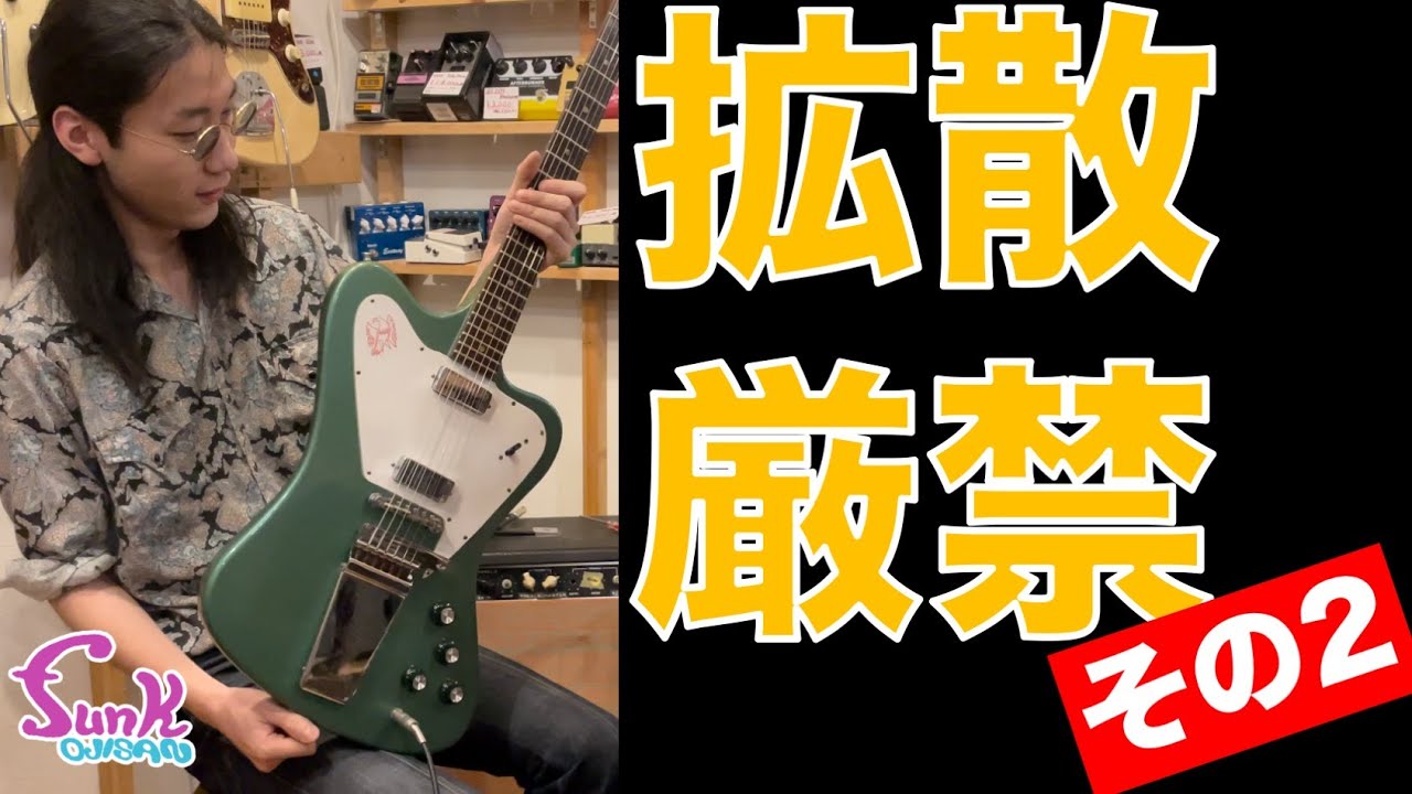 ミニハムヤバい】拡散厳禁レベルにミニハムの音が良かった！1965年製