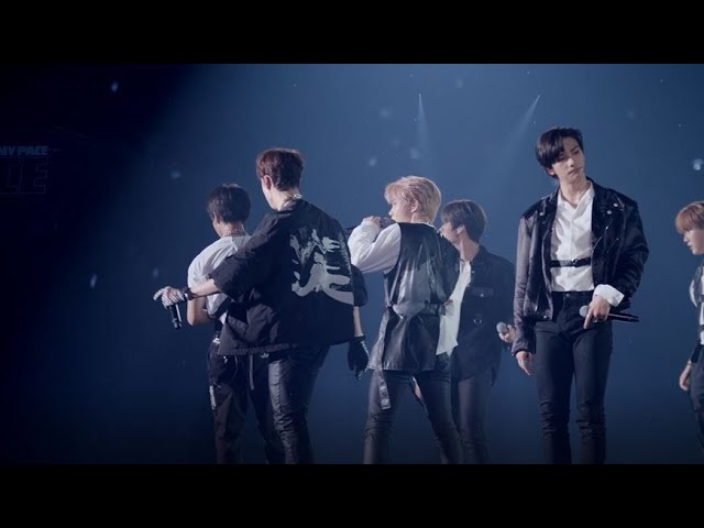 LIVE] Stray Kids Japan Showcase 2019 “Hi-STAY”/ My Pace - YouTube