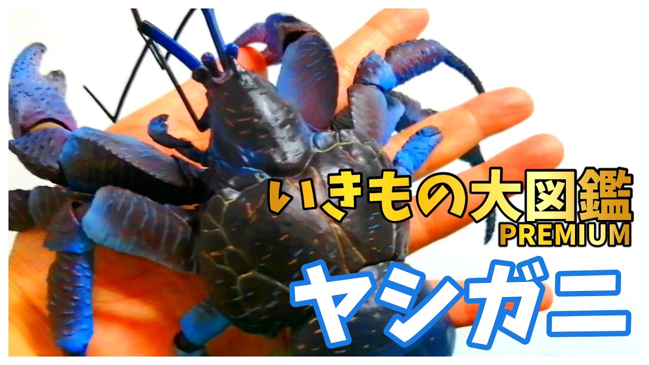 いきもの大図鑑プレミアムのヤシガニ！ 本物と変わりないから苦手な人