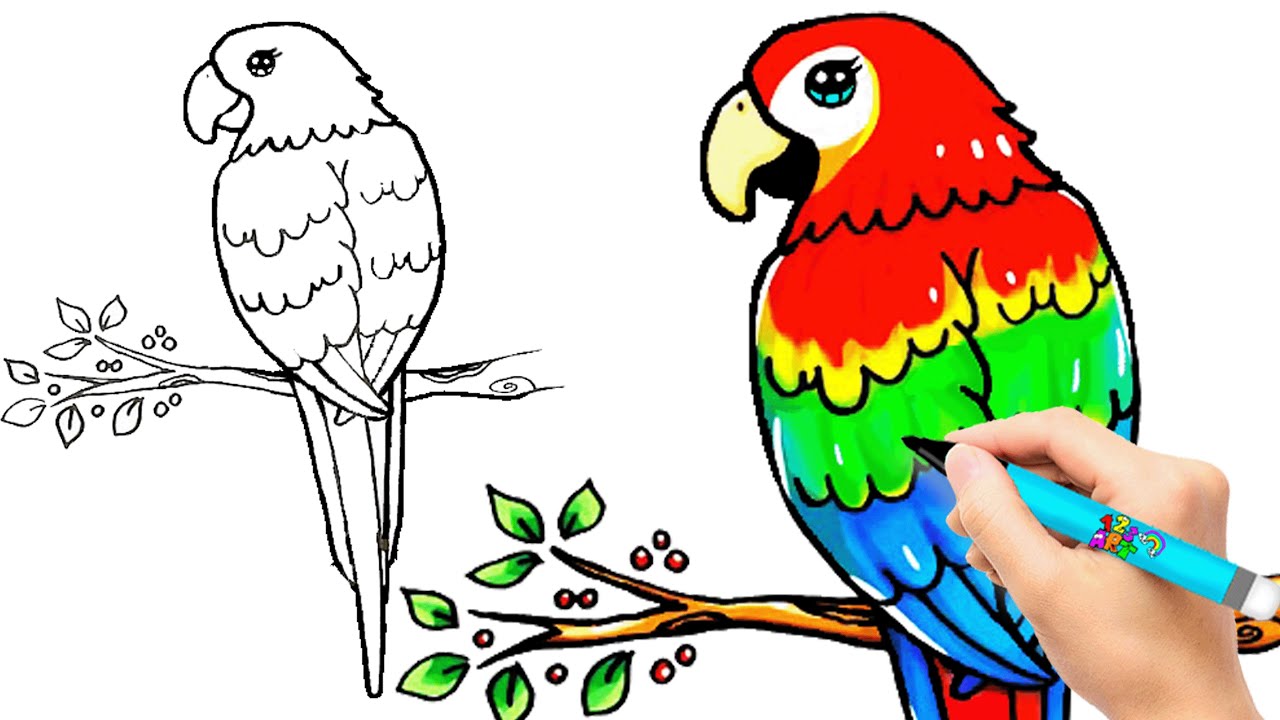 オウムを描く 🦜 オウムの簡単な描き方 😍 絵を描く 🌈 簡単な絵 - YouTube