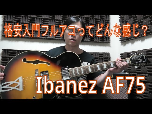 Ibanez AF75 - 格安入門フルアコってどんな感じ アイバニーズ フルアコ