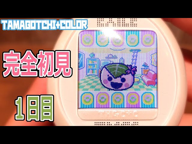 Tamagotchi Plus Color] Released in 2008! Play Tamagotchi's first