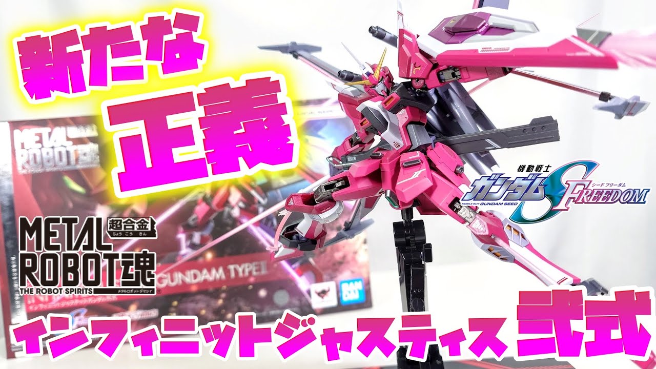 ズゴックの中から現れたハレンチなヤツ!!!]METAL ROBOT魂 ＜SIDE MS