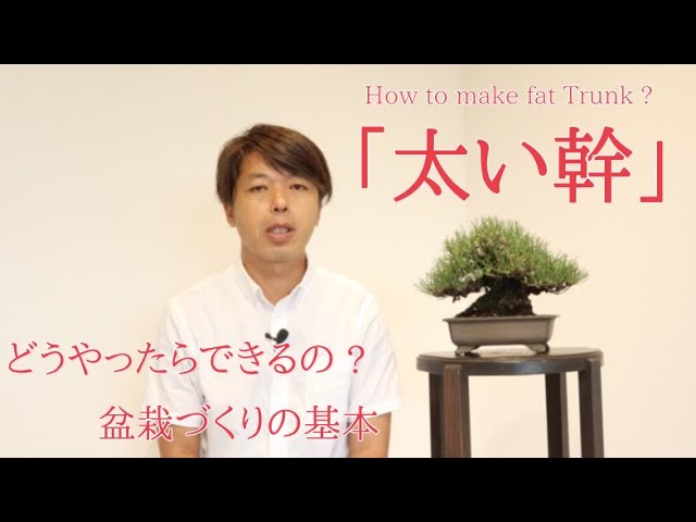 How do you make a thick trunk?