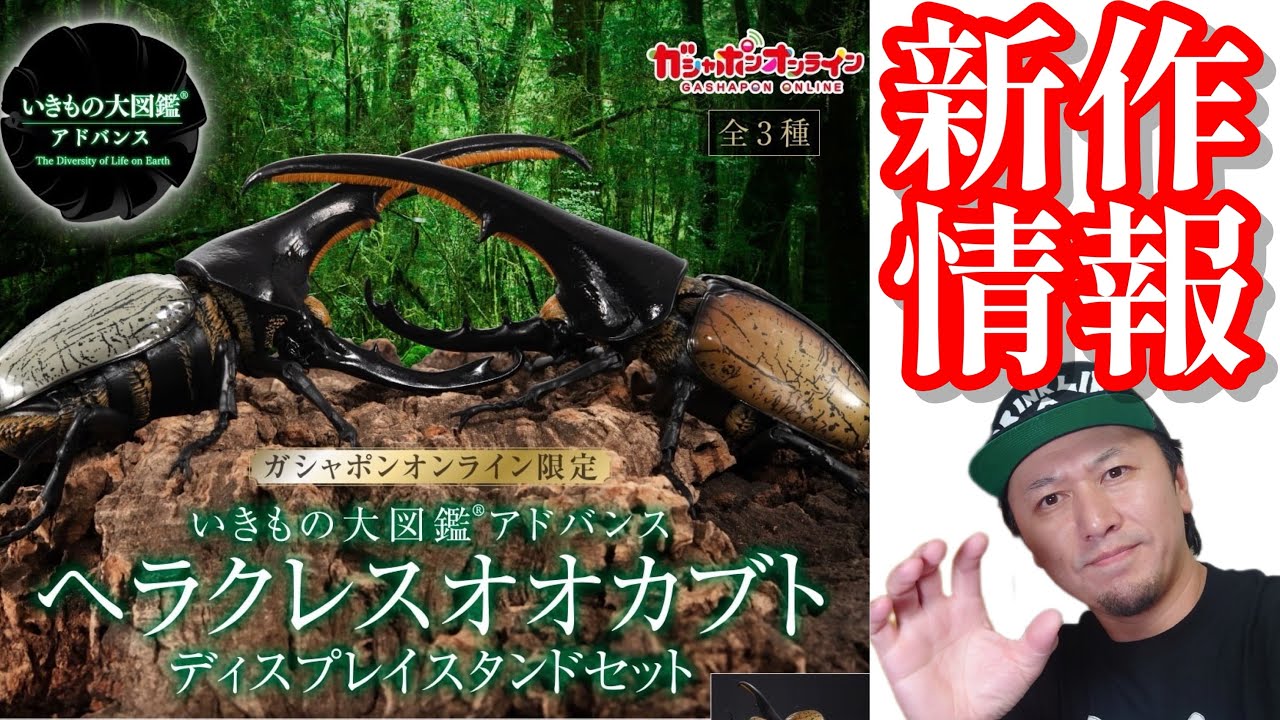 ガチャガチャ】いきもの大図鑑アドバンス『ヘラクレスオオカブト