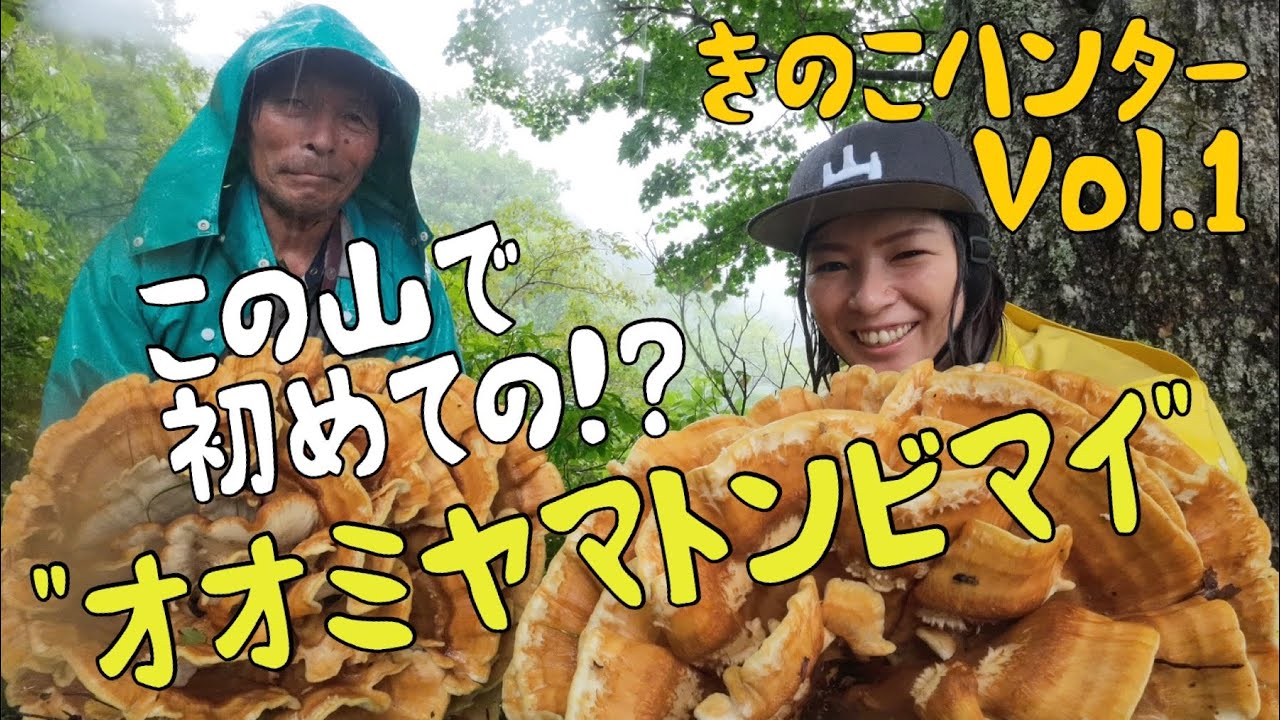 きのこハンターVol.1 〜オオミヤマトンビマイに遭遇〜 - YouTube