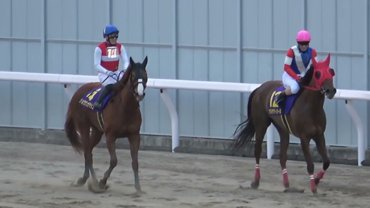 2022 68th Empress Cup (Kiyofuji Memorial) JpnⅡ Winning Run