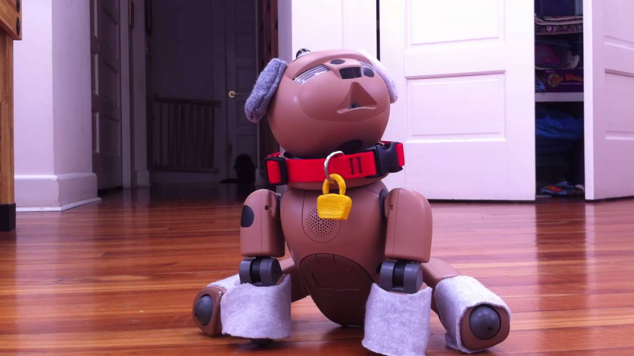 Aibo ERS-31L Pal SE - YouTube