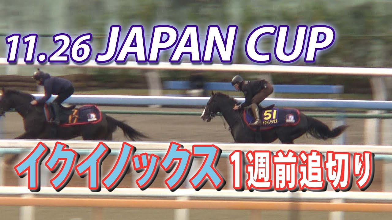 11.26ジャパンカップ特集】イクイノックス 1週前追い切り - YouTube