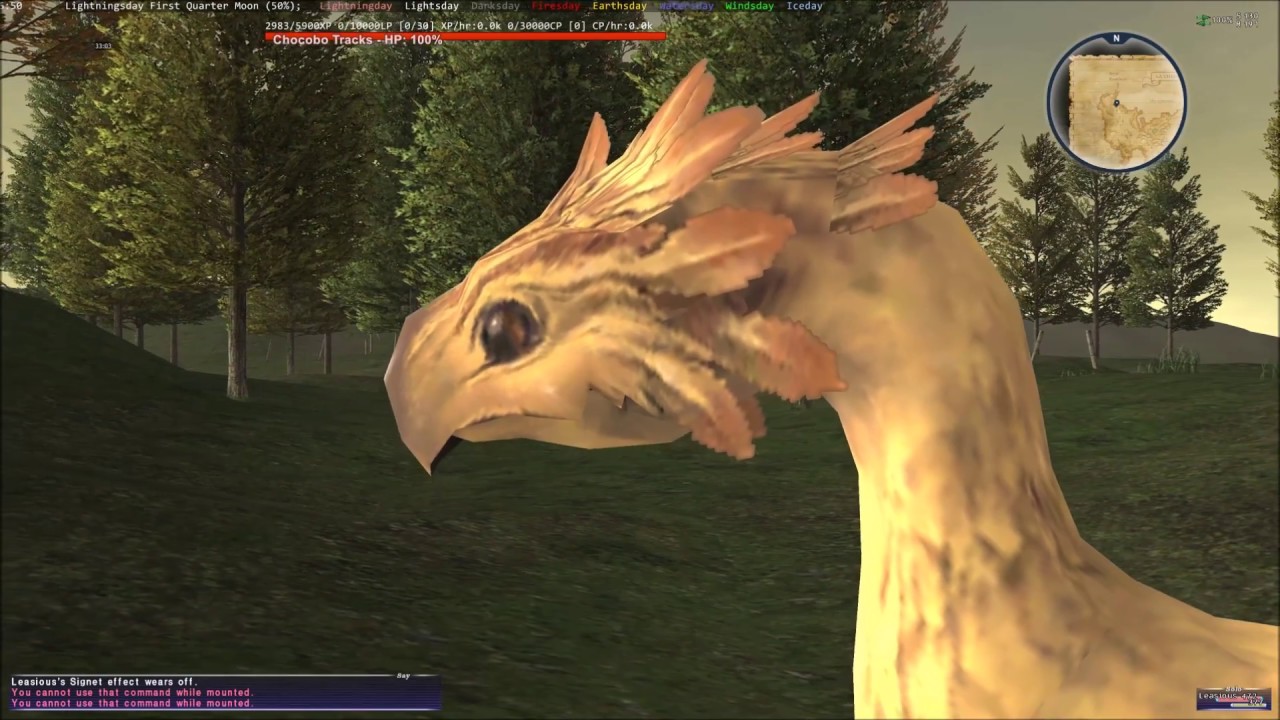 Final Fantasy XI - Chocobo on the Loose! - YouTube