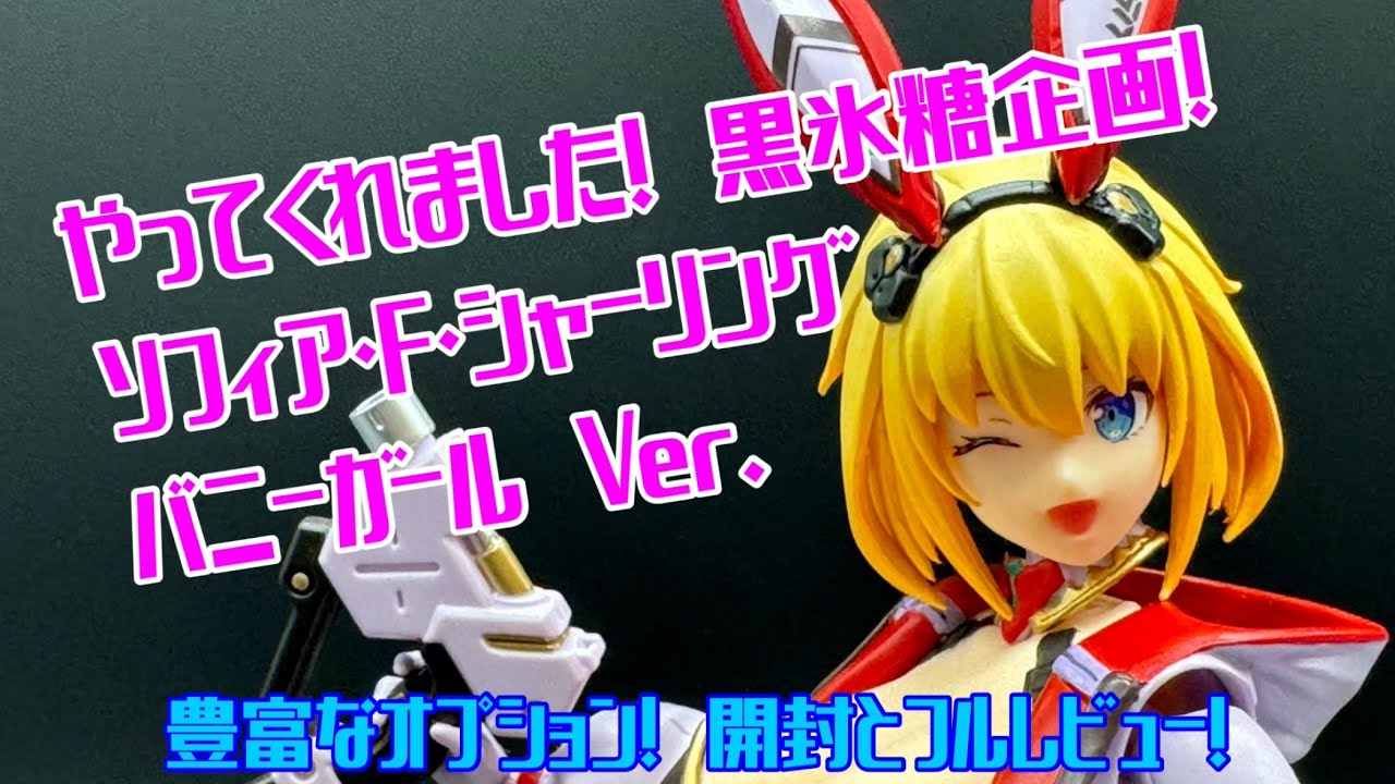 完成品可動キット！ やってくれました！ 黒氷糖企画！ ソフィア・F