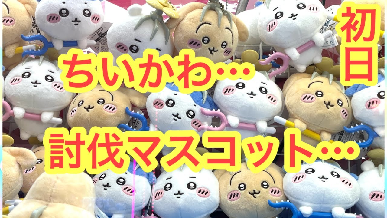 Chiikawa] First day challenge of the latest Chiikawa Hachiware