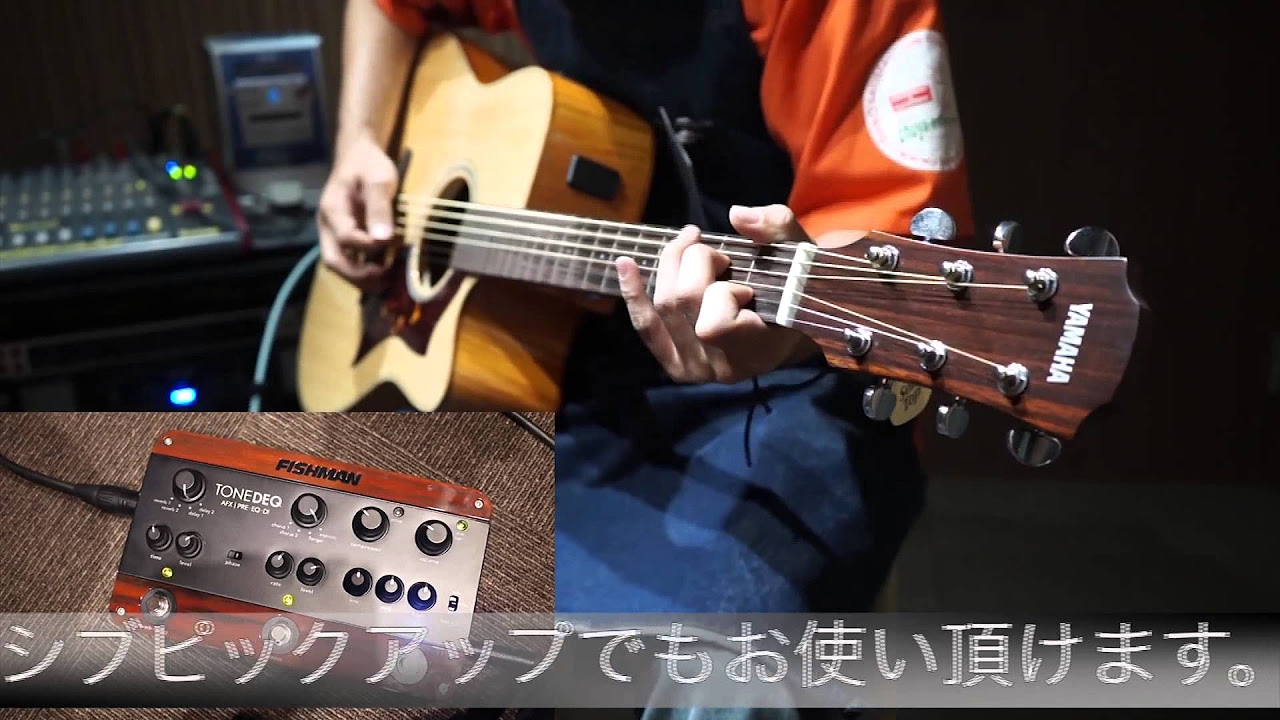 試奏動画】FISHMAN/TONEDEQ - YouTube