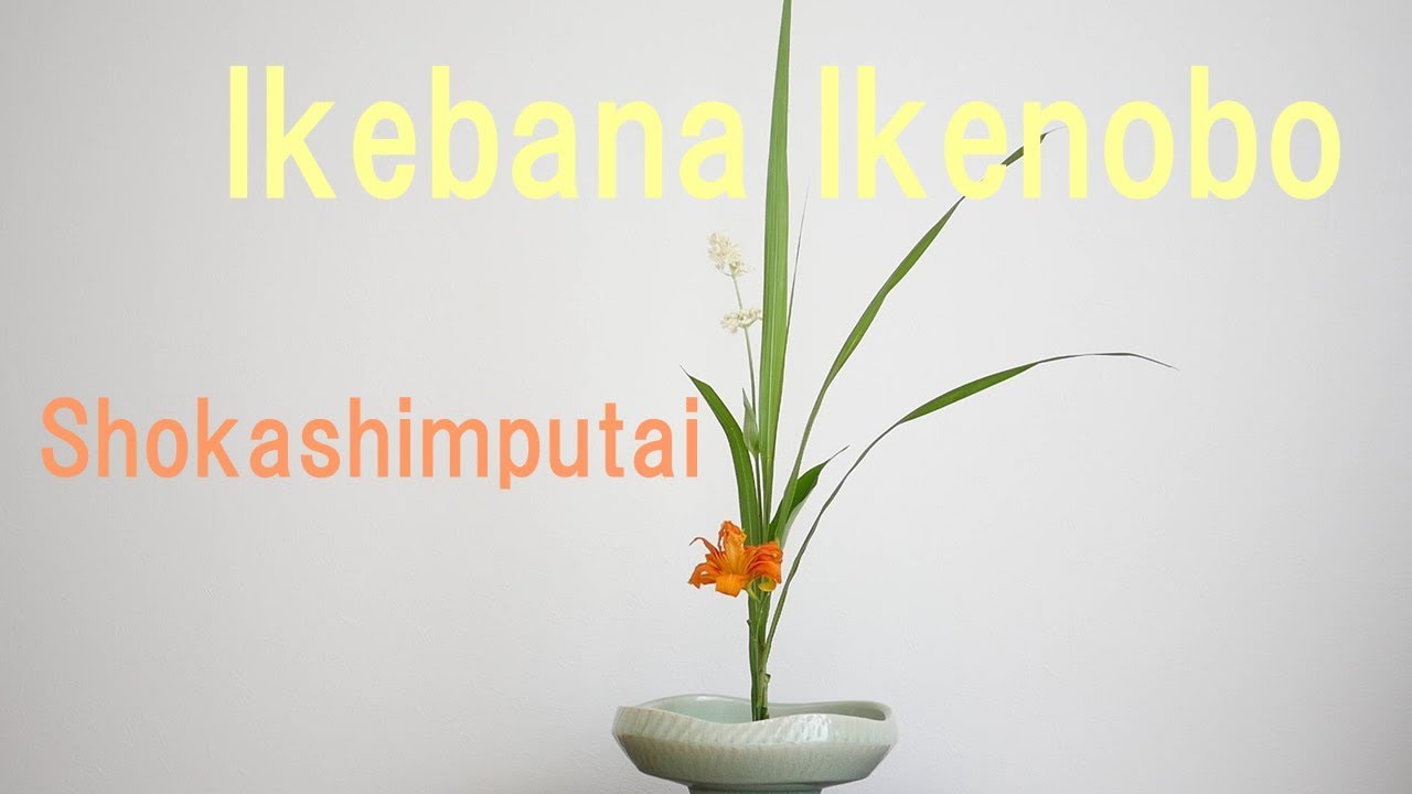 生け花】池坊！生花新風体に初挑戦【ikebana】嵯峨御流師範が生ける