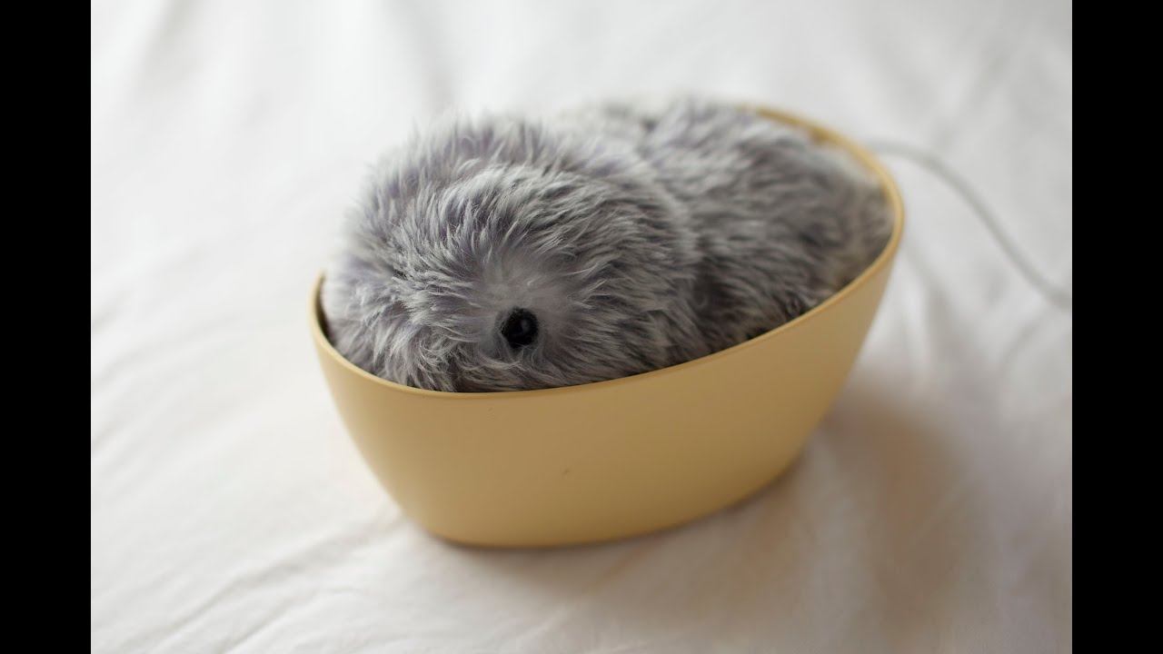 もふりん（MOFLIN）新世代AIペット型ロボットで特別な癒やし…いつ