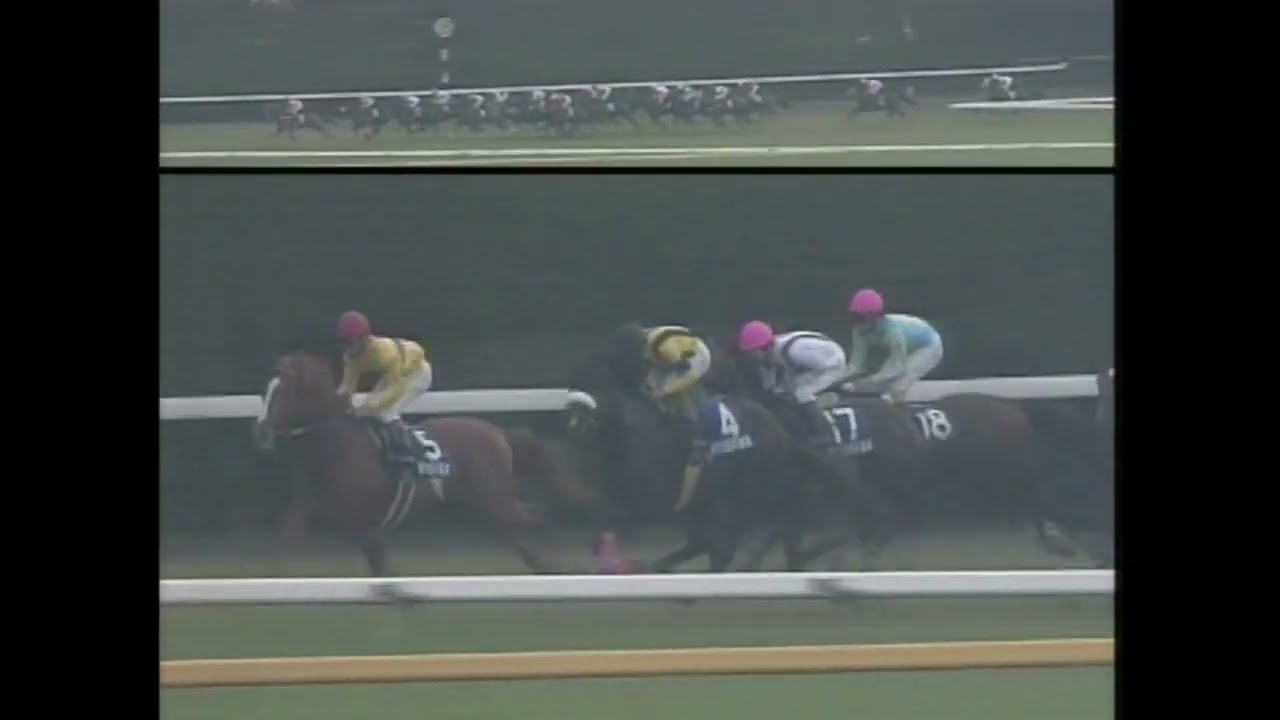 1994年天皇賞（秋） ネーハイシーザー - YouTube