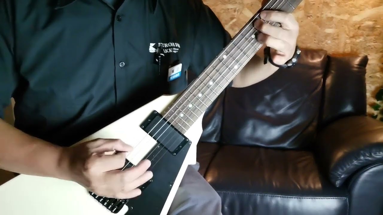 SCHECTER 【西日本限定モデル】【スポット少数生産モデル!】PS-FV-FXD