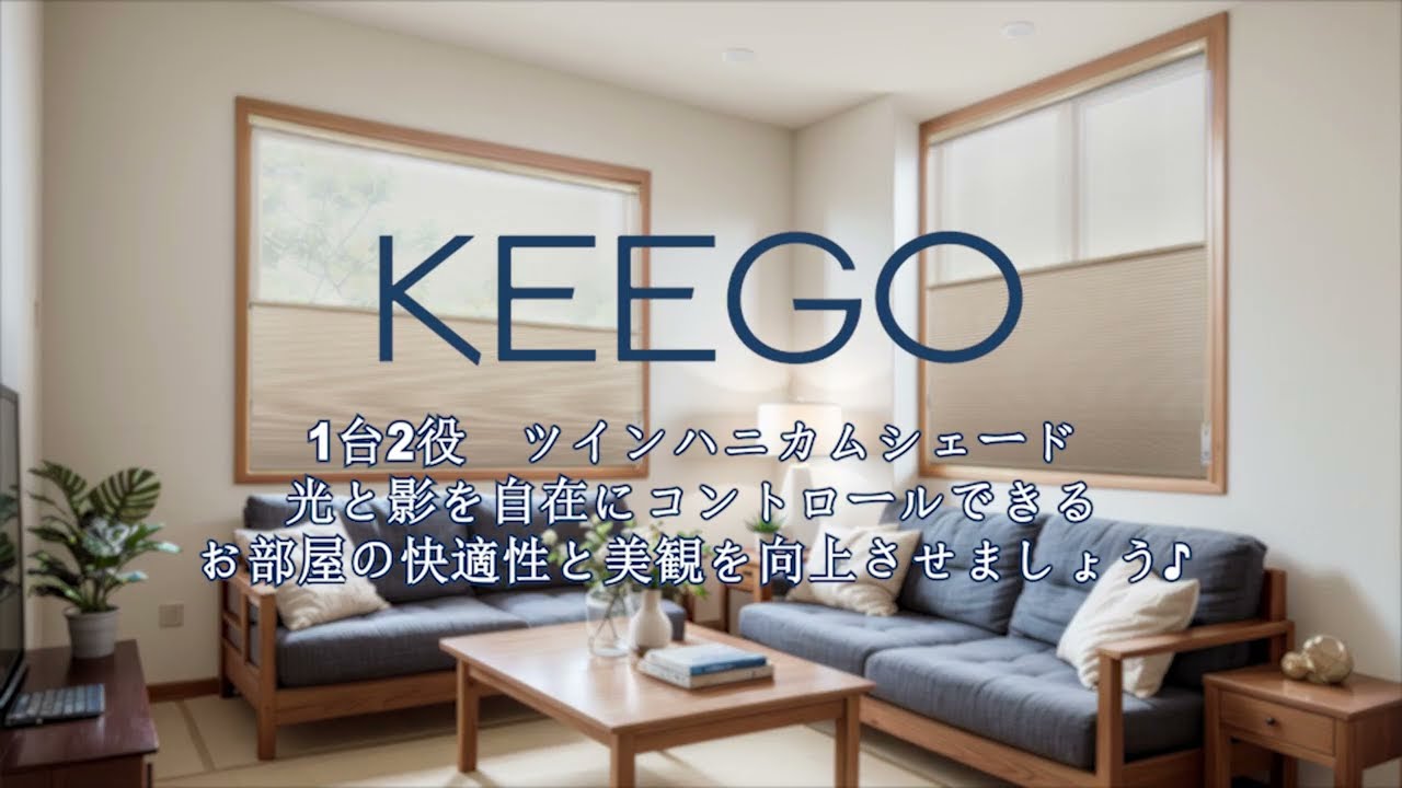 ツインハニカムシェード チェーン式 - YouTube