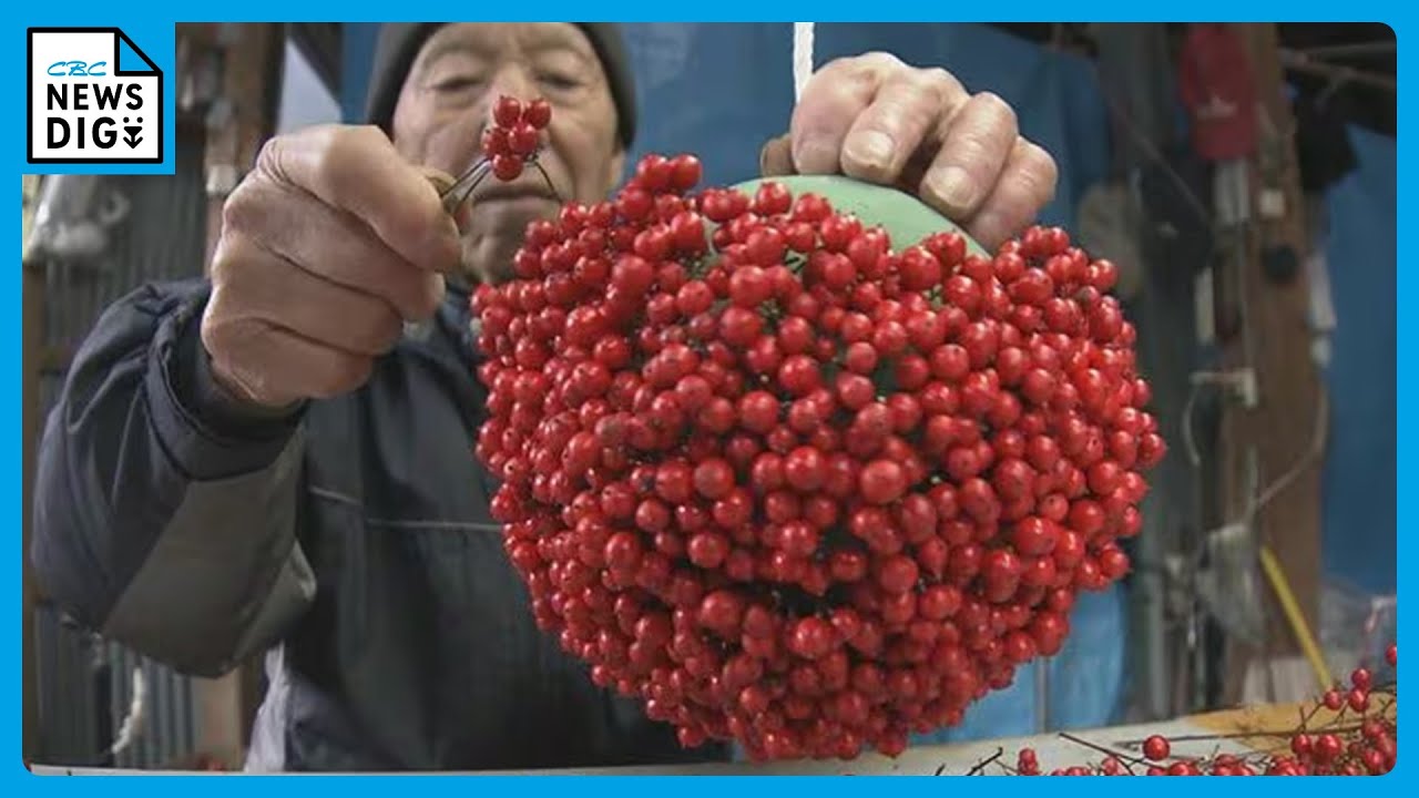 難を転ずる”「南天玉」作りが最盛期 岐阜・郡上市 - YouTube