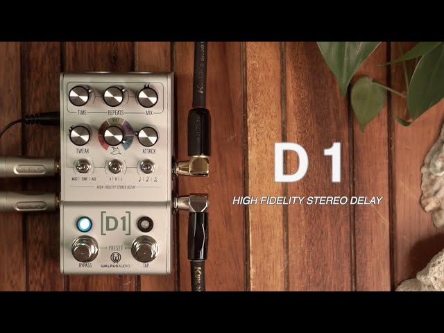 My UPGRADED Walrus Audio D1 V2 Delay PRESETS, and New STEREO