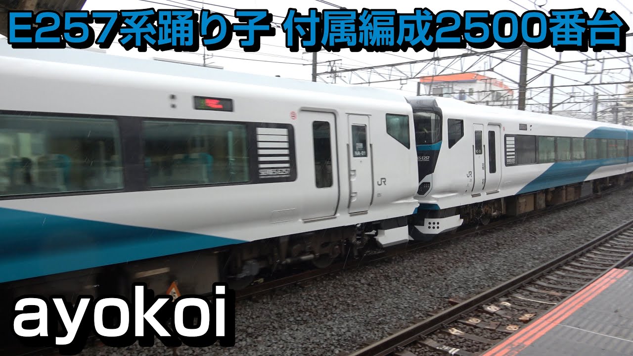 E257系特急踊り子14両編成 5両付属編成2500番台 運行開始 - YouTube