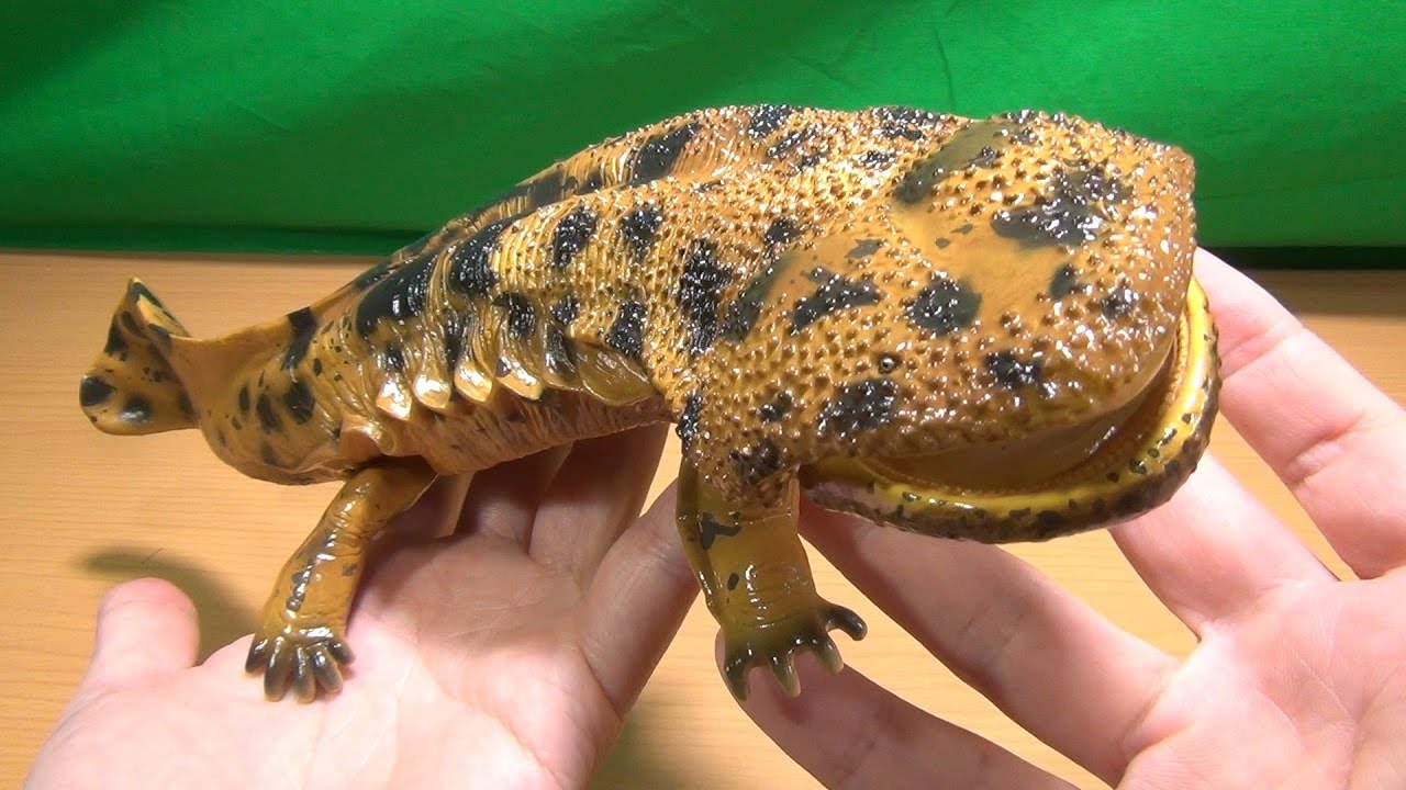 あふれるヌメヌメ感！ 海洋堂 ソフビトイボックス サンショウウオ