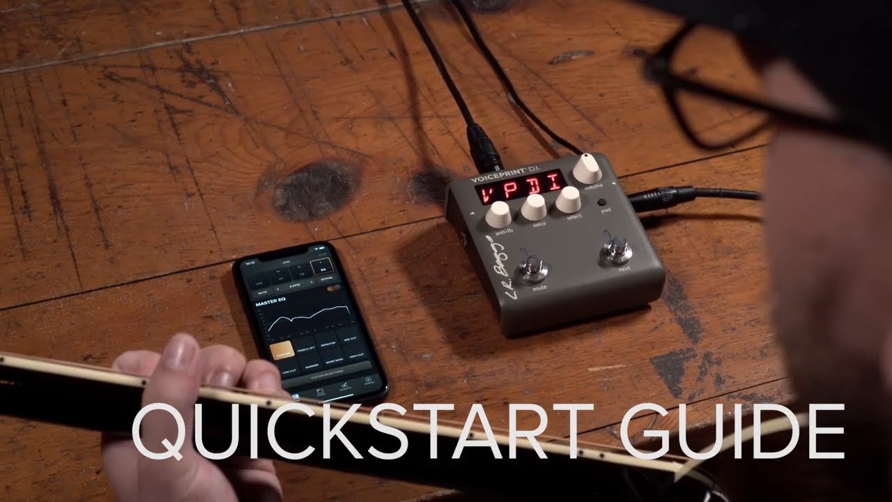 Voiceprint – L.R.Baggs Japan