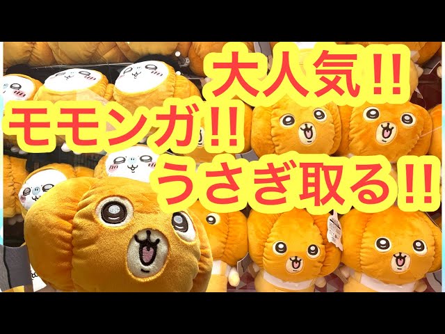 ちいかわ】うさぎモモンガカボチャBIGぬいぐるみ！！初日に取ったら