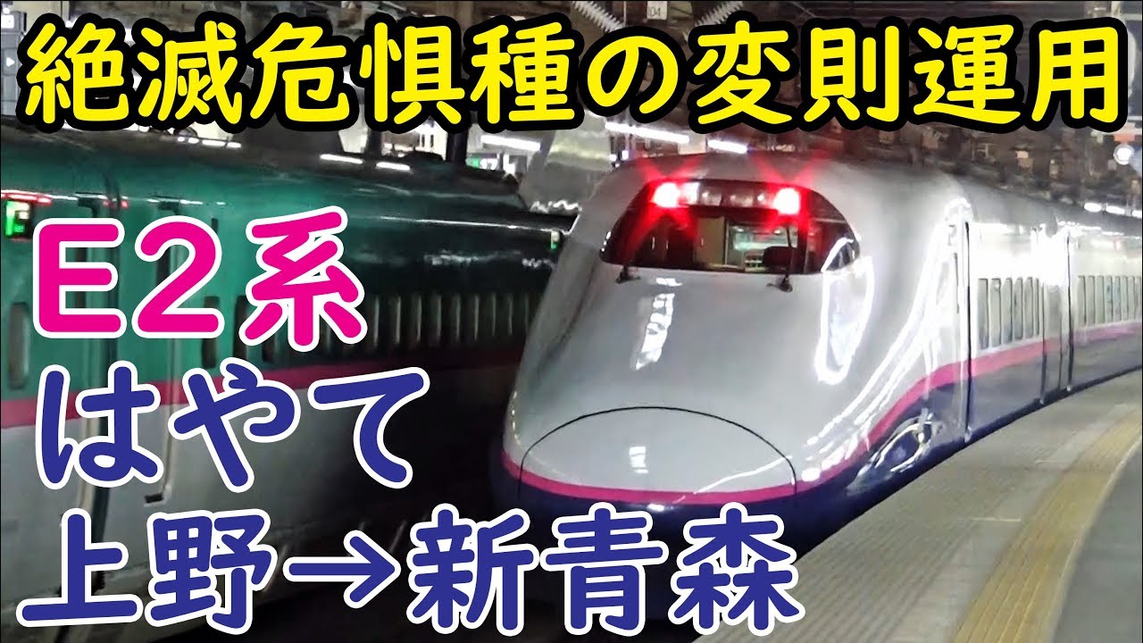 1) A rare species now: the 