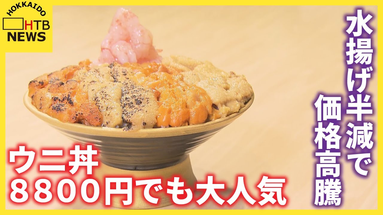 猛暑でことごとく死んだんじゃ…」大人気“小樽産ウニ”初セリ 水揚げ半減