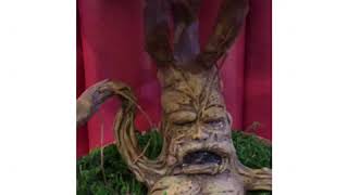 海賊倉庫,ビンテージ,古着,雑貨,マンドレイク,マンドラゴラ,通販