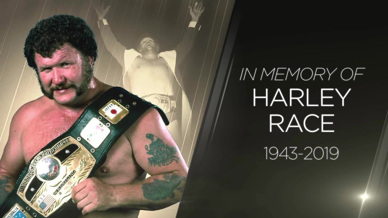 AJPW - Dusty Rhodes vs Harley Race - YouTube