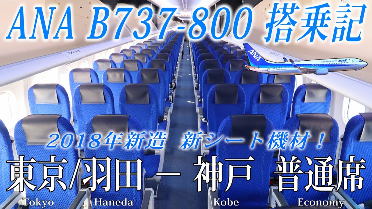 ANA 4機しかないレアなB737-800 搭乗記！( 2018年導入の新シート仕様