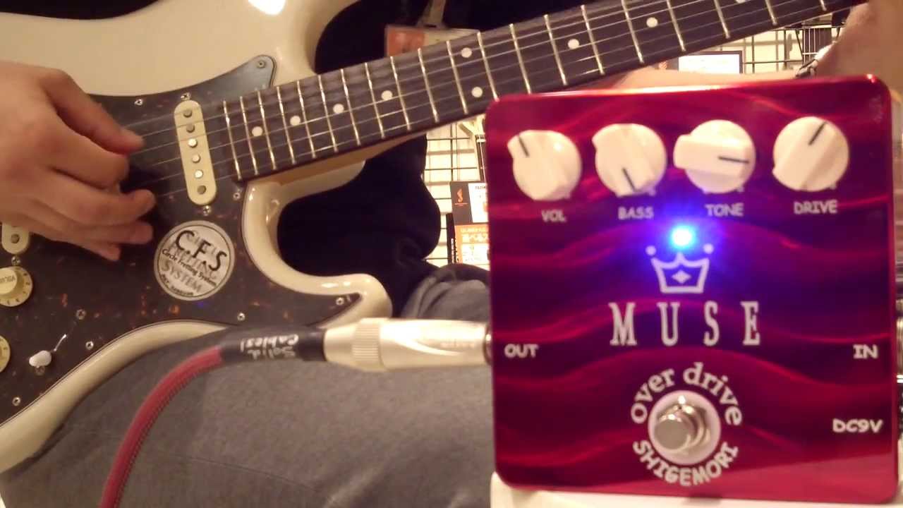 Shigemori MUSE レビュー！これ以上ないくらい完成された素晴らしい歪み