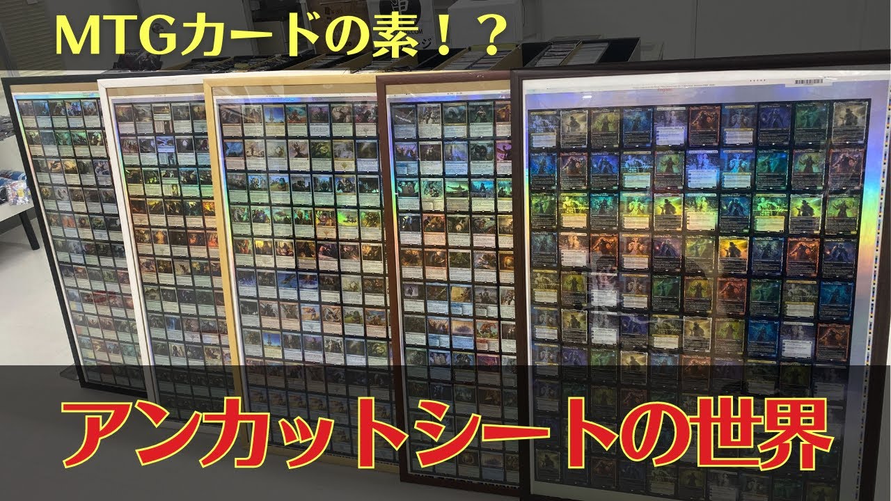 貴重】アンカットシートの世界を堪能！販売もあります！【東京MTG