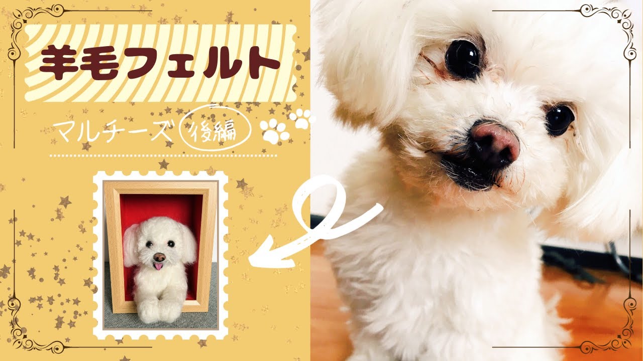羊毛フェルト】マルチーズを作ってみた【後編】 - YouTube