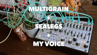 Intellijel Sealegs - Eurorack Module on ModularGrid