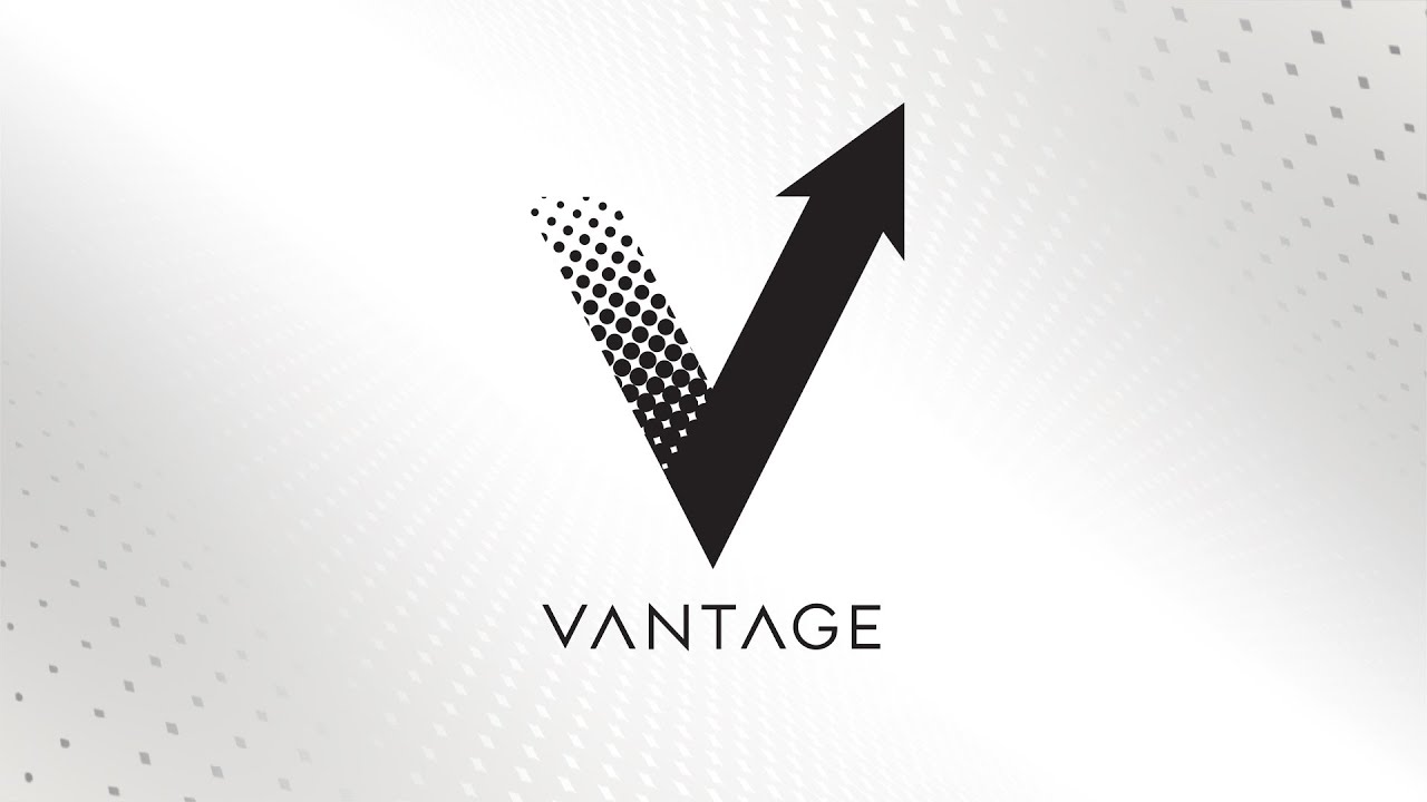 シャフト プレデター VANTAGE ヴァンテージ ラジアル｜ビリヤード 通販
