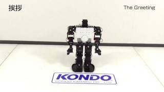 KXR-L2 ヒューマノイド型 取説・サンプル Ver.2.0 | 近藤科学