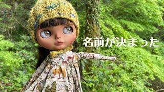 カスタムブライス】名前が決まった！お洋服着替えた！ - YouTube