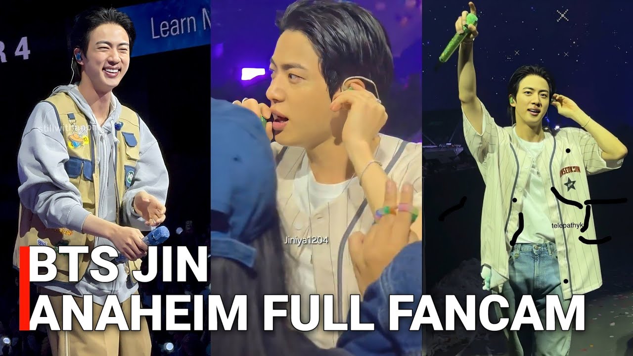BTS Jin Concert in Anaheim & all jin's Moments with ARMY