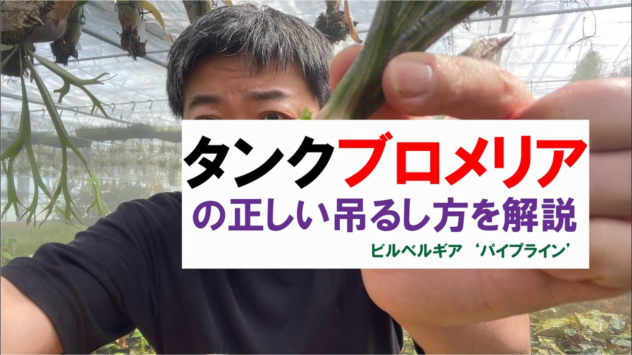 Basic knowledge] Explaining the correct way to hang tank