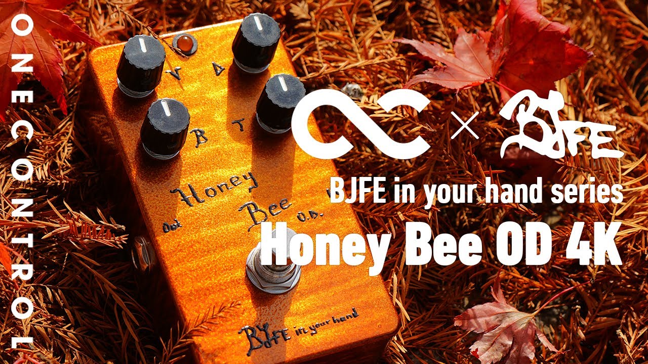 One Control BJFE in your hand series Honey Bee OD 4K – OneControl
