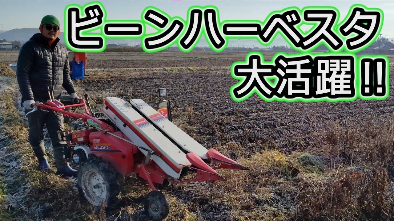 大活躍】ヤンマー ビーンハーベスタ 山白玉（やましらたま）大豆
