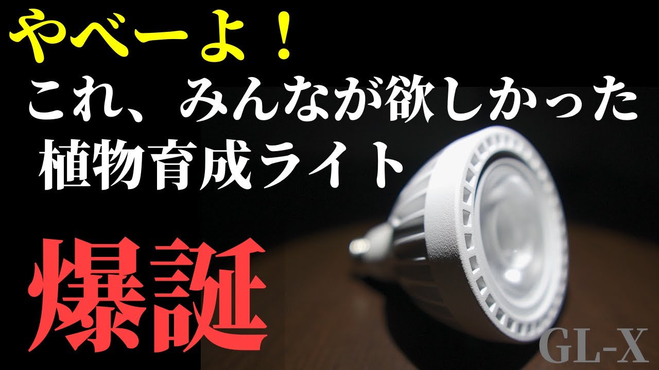 コスパ最高】植物育成LEDライト「GL-X 6K」をレビュー！HaruDesignはる