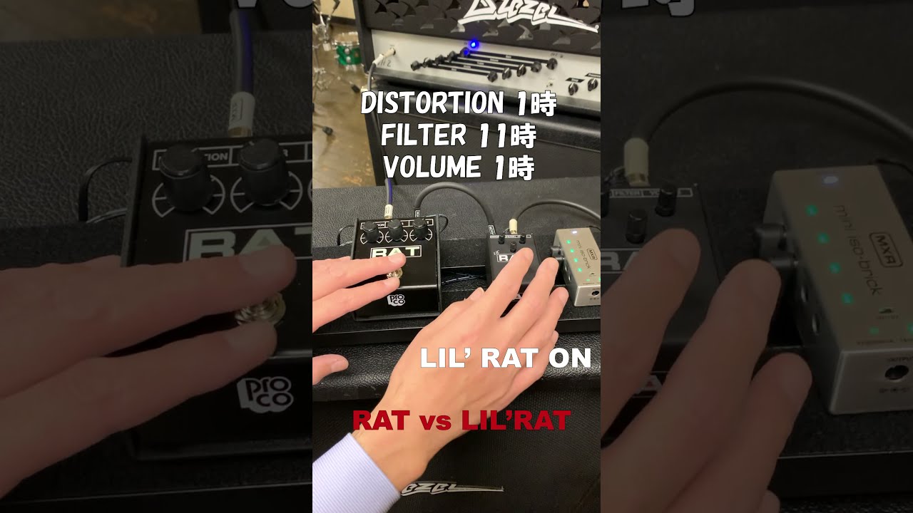 PROCO LIL' RAT ディストーション エフェクター(プロコ ラット RAT2と