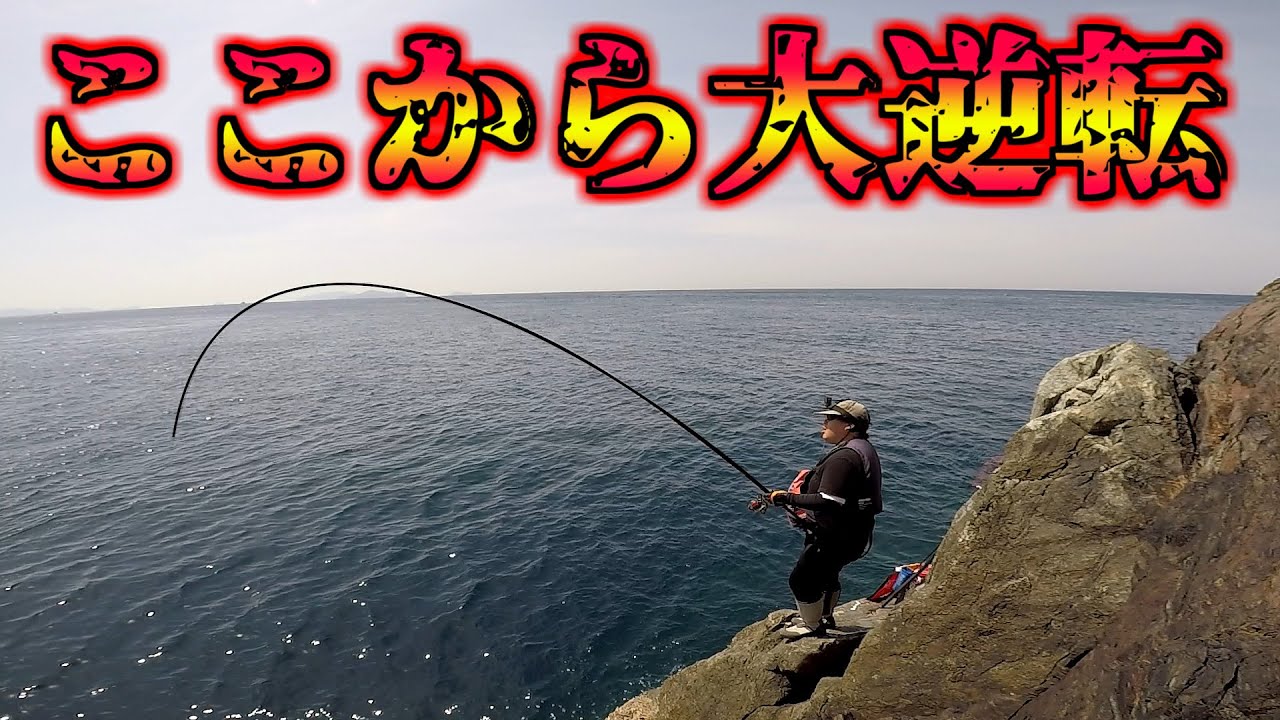 A 600cc tuna caught perfectly in the roots [Morning and evening