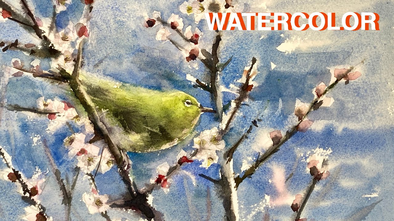 Eng Sub]【HOW TO WATERCOLOR 60】水彩画 /梅/メジロ - YouTube